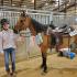 Western Region 4-H Horse Show